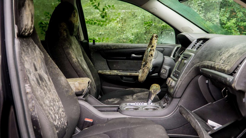 Mold in Cars